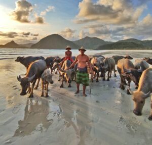 Pantai Selong Belanak