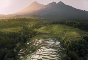 Tetebatu