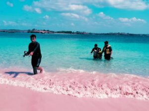Pantai Pink Lombok