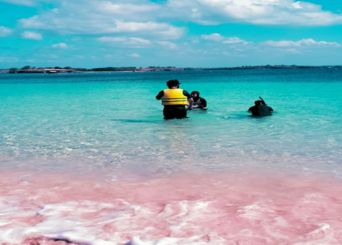 Pantai Pink Lombok di Lombok Timur dengan pasir merah muda, air laut biru jernih, dan perbukitan hijau di tepi pantai.